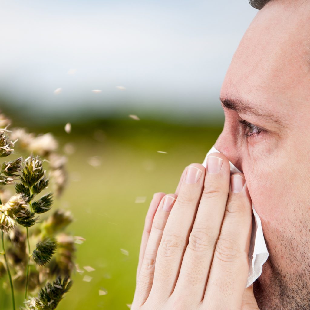 Krankheitsbild und Behandlung von Pollenallergie. Pollenallergie Studien